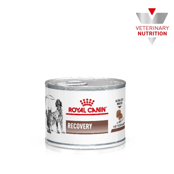 ROYAL CANIN RECOVERY ALIMENTO HUMEDO 1 PIEZAS